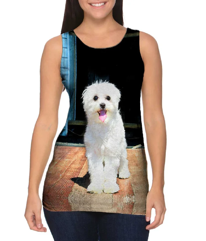 Sports And Leisure New Season Series Glistening Maltese