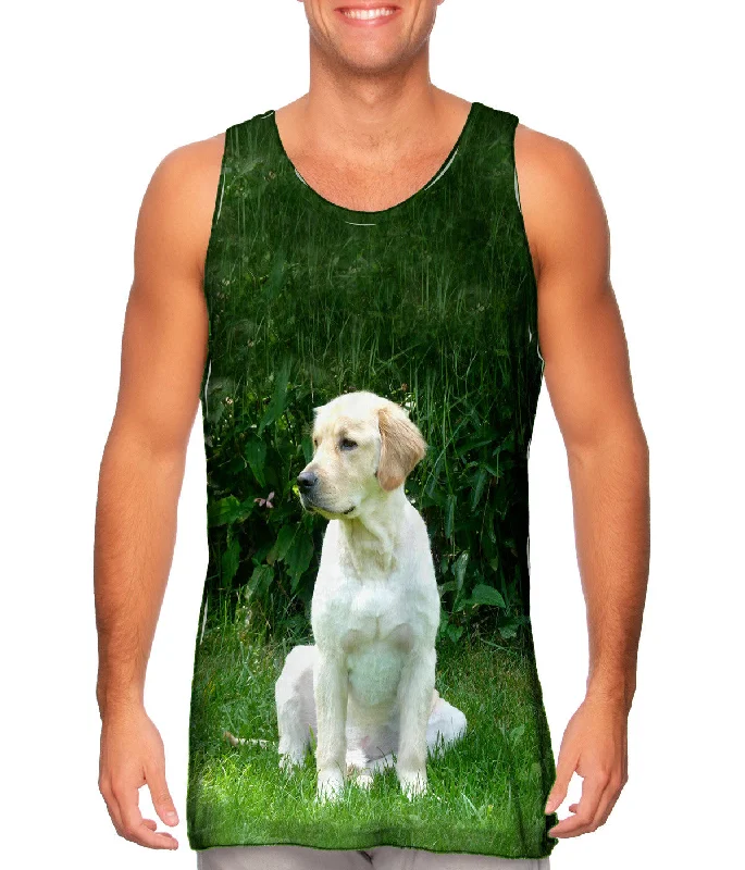 Comfortable Series Fashion Design Golden Lab In Garden