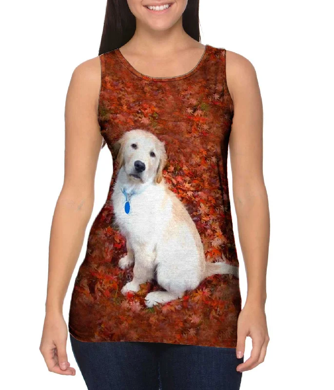 Romantic Data Fresh And Capable Golden Lab Enjoys Fall