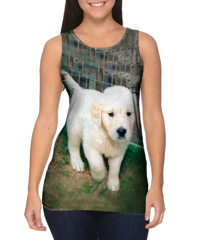Fashion Innovation End Of The Year Golden Lab Puppy Toro