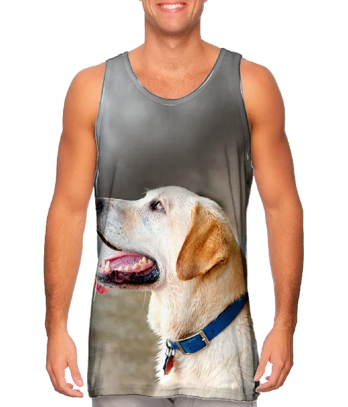 Versatile Items Bright Colors Doggy Looks Up