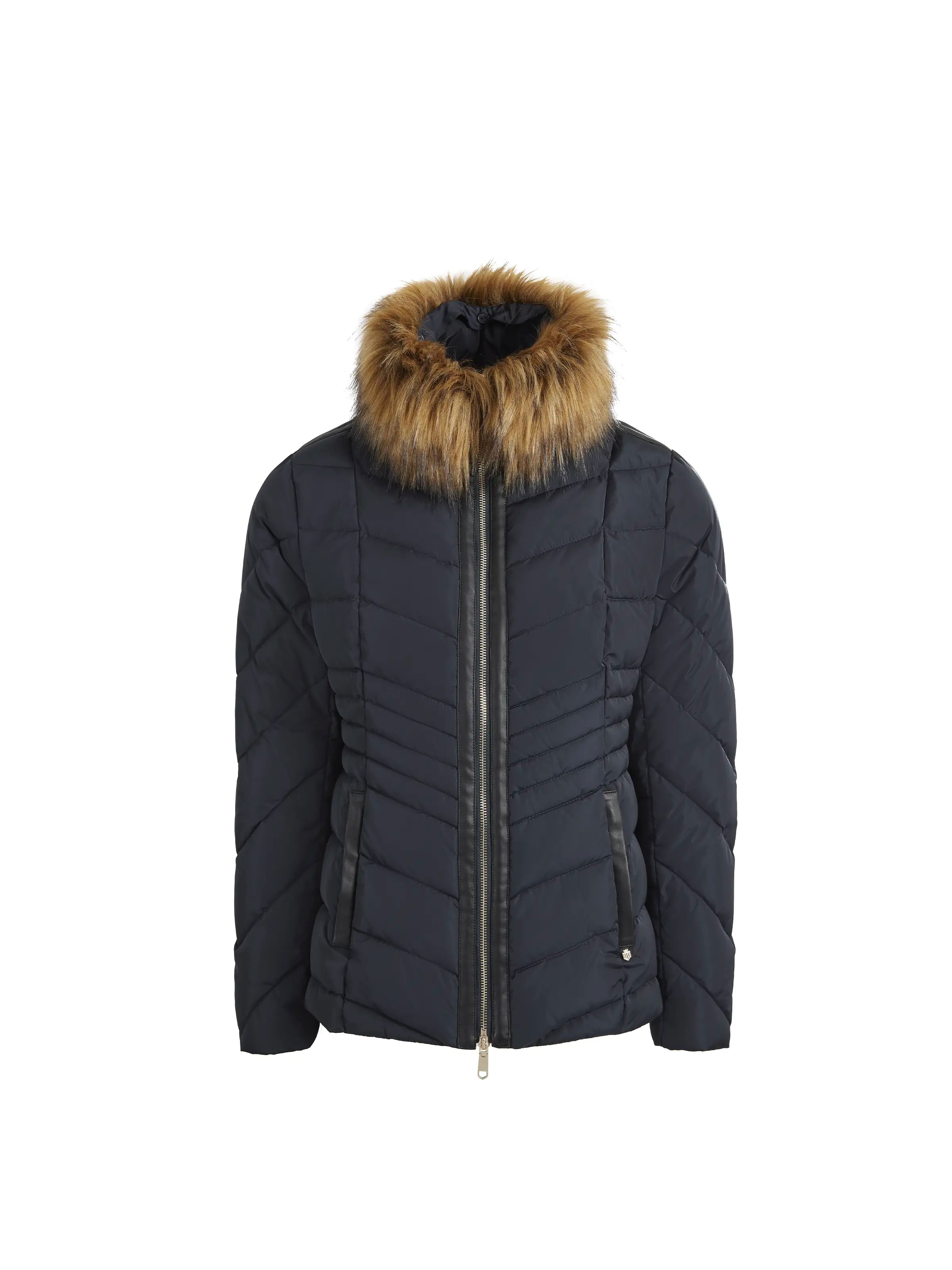 Sports Fitness Style Pippa Padded Jacket - Navy