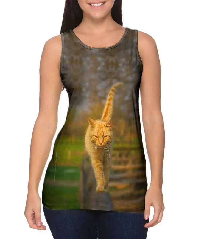 Practical Style Trendy Items Glistening Tree Cat
