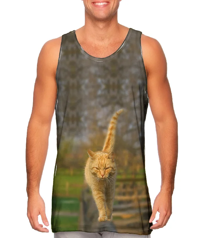 End Of The Year New Products Glistening Tree Cat