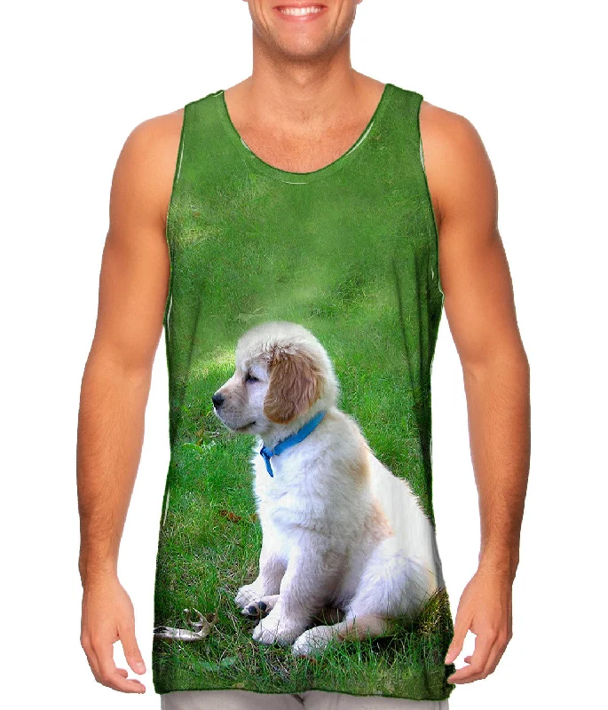 Elegant Wear Trendy Items Golden Lab Puppy In Thought