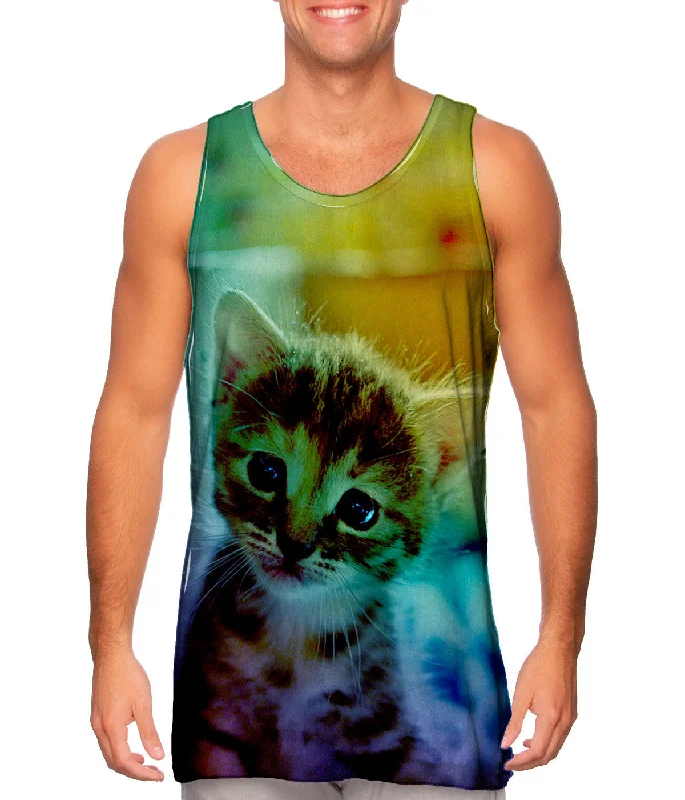 Youthful Vitality Elegant And Charming Dory Kitten