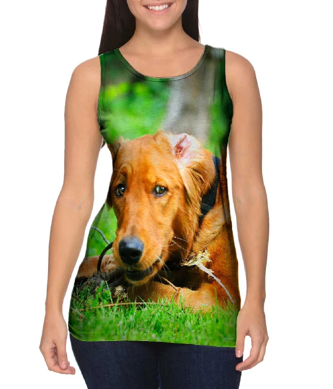 Exquisite Craftsmanship Comfortable Series Golden Lab Lost Bone