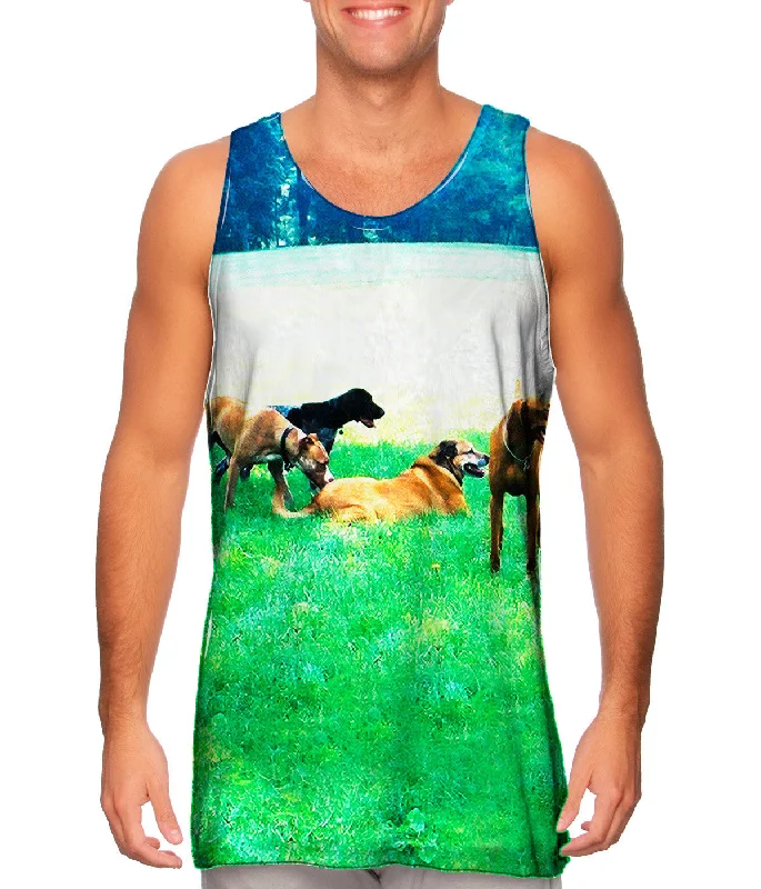 Personalized Wear Comfortable And Casual Doggy Union Meeting At Park