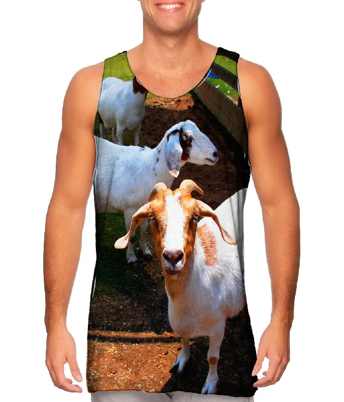 Editorial Design Carefree Style Goat Convention