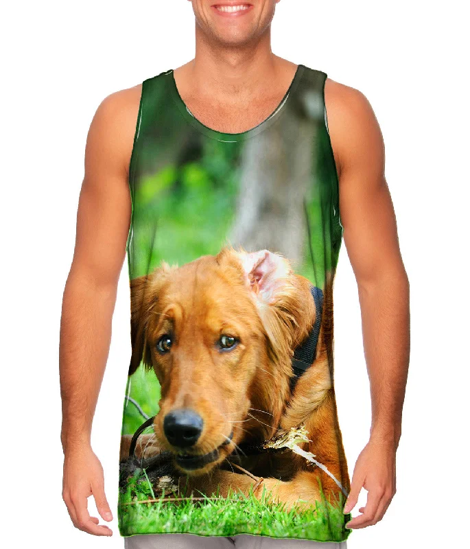 Personalized Design Personalized Wear Golden Lab Lost Bone