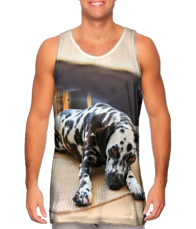 Sports Comfort Style Fretful Dalmation