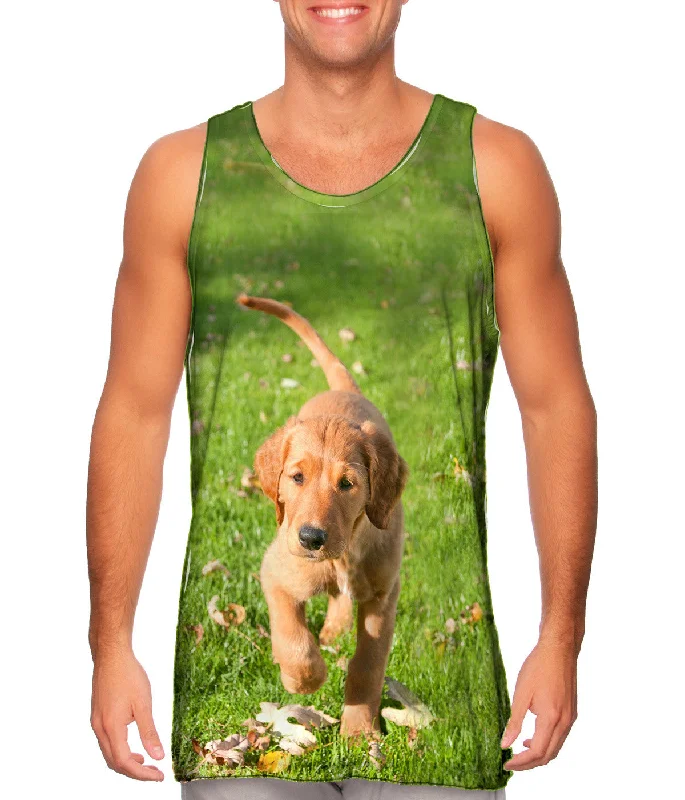 High-quality Styles Romantic Data Golden Lab Kicking Leaves