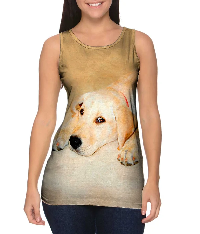 Fashion Design Modern Tailoring Golden Lab Cooling Off